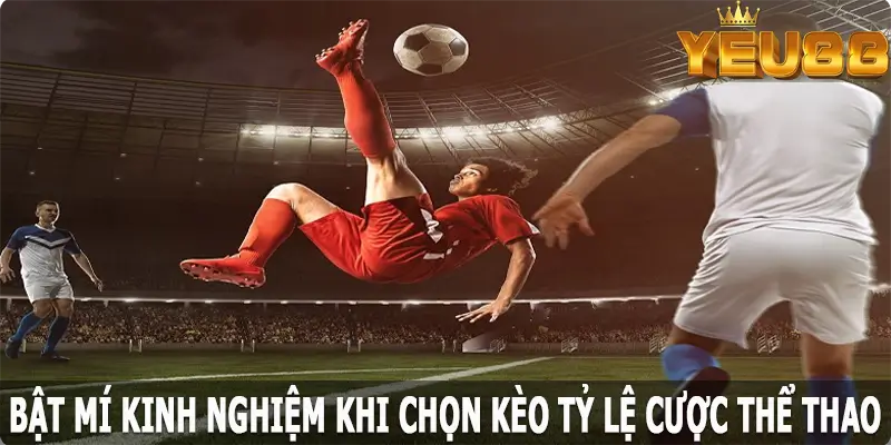 Bật mí kinh nghiệm khi chọn kèo tỷ lệ cược thể thao tại Yeu88