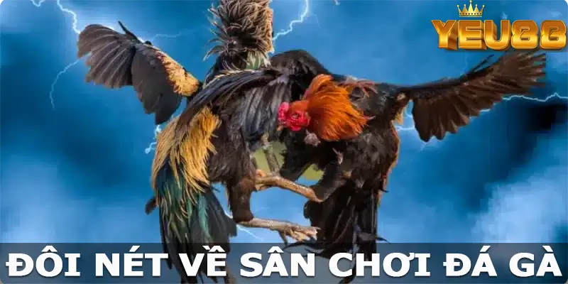 Đôi nét về sân chơi đá gà